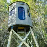 Close up of Poplar Combo XT Blind on elevated stand in woods